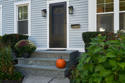 Chrysanthemums and a pumpkin on the front door stairs of a home