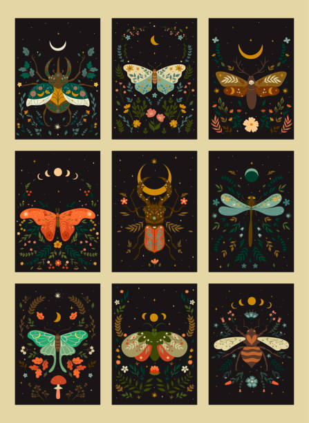 ilustrações, clipart, desenhos animados e ícones de conjunto de cartões postais no estilo boho com insetos. desenho vetorial. - spring abstract insect dreams
