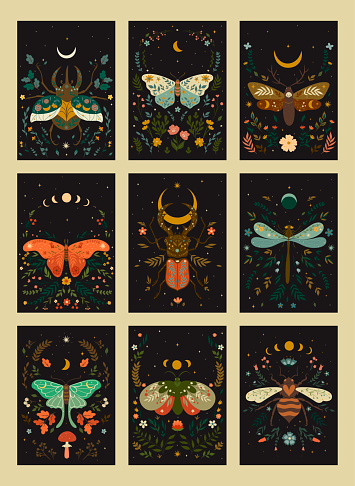 Set of postcards in boho style with insects. Vector graphics.