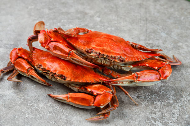 istock Boiled crabs on wooden background. Seafood menu. 1346927656