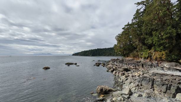 istock Rocky and forest shoreline of the Pacific (photo4) 1346937402