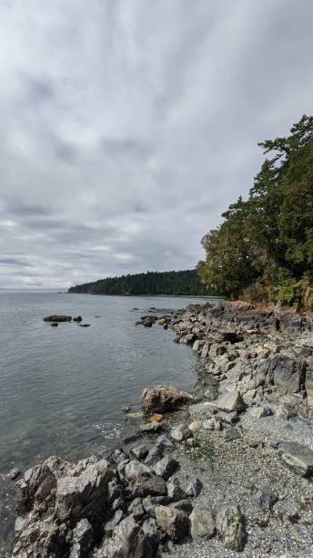 istock Rocky and forest shoreline of the Pacific (photo3) 1346937411
