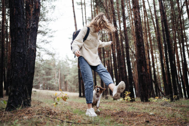 istock Playing with a puppy in the nature 1346938209