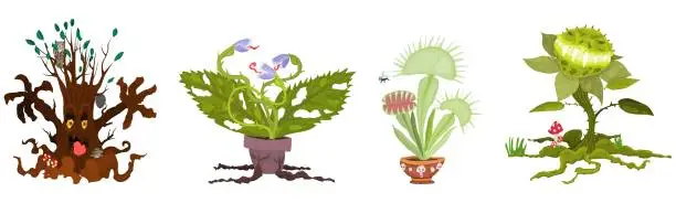 Vector illustration of set of predatory plants for halloween new flytrap