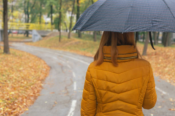 istock City in the Rain 1346945753