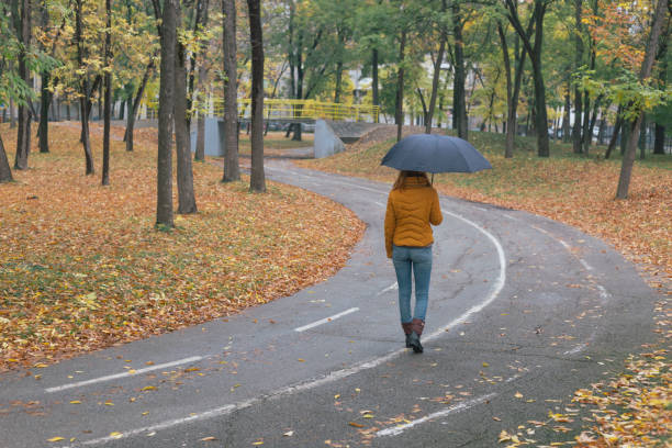 istock City in the Rain 1346945759