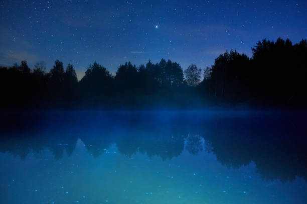 istock Night starry sky over the forest and the river 1346946784