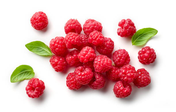 fresh raspberries and green leaves stock photo