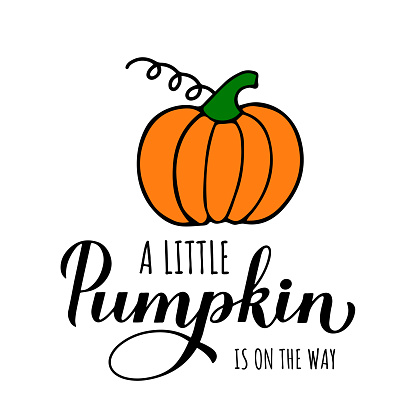 Little Pumpkin is on the way calligraphy hand lettering with cute cartoon pumpkin. Fall baby shower decorations. Autumn quote. Vector template for poster, sign, invitation, etc.
