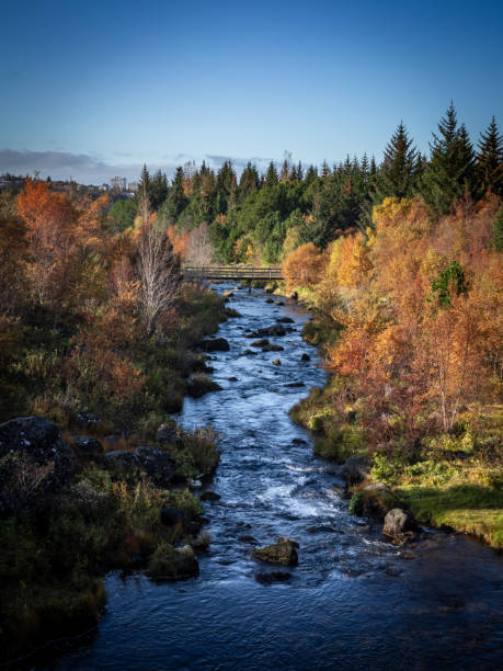 istock A forest creek in autumn. 1346951016
