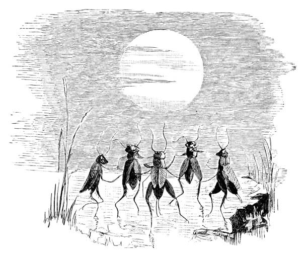 Dancing Crickets Dancing Crickets - Scanned Engraving pond illustrations stock illustrations