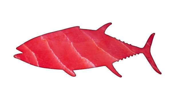 yellow fin tuna steak like a fish isolated. fish-shaped fresh rare tuna steak close up. raw yellowfin tuna fillet texture pattern. backround fresh tuna meat surface. - tuna steak tuna prepared ahi meat imagens e fotografias de stock