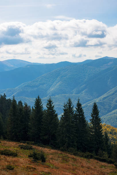 istock beautiful landscape of carpathian mountains 1346953385