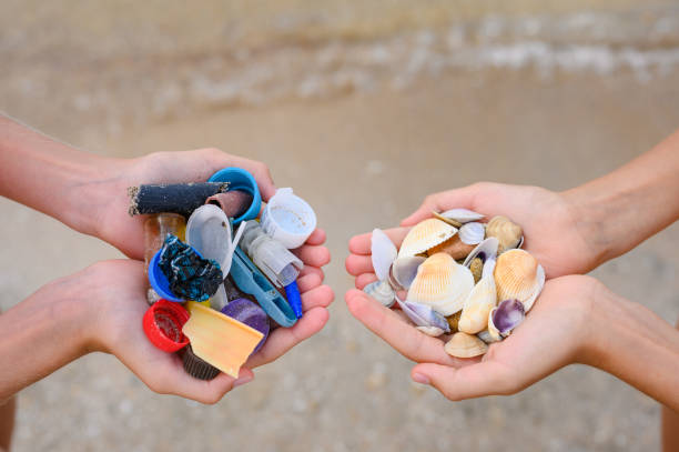 istock Rubbish and seashells in hands. 1346956386