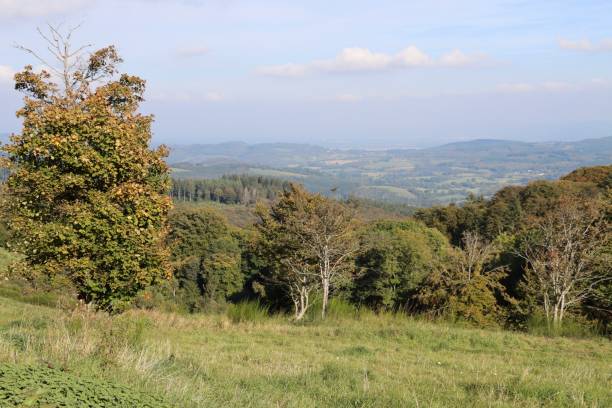 istock Amazing view on Morvan from Mont Beuvray 1346956785