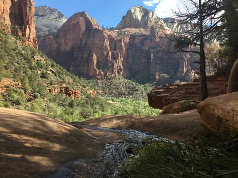 The Watchman Scenic View Along the Virgin River - Zion National Park iconic view in springtime of red rock formation with flowing water.