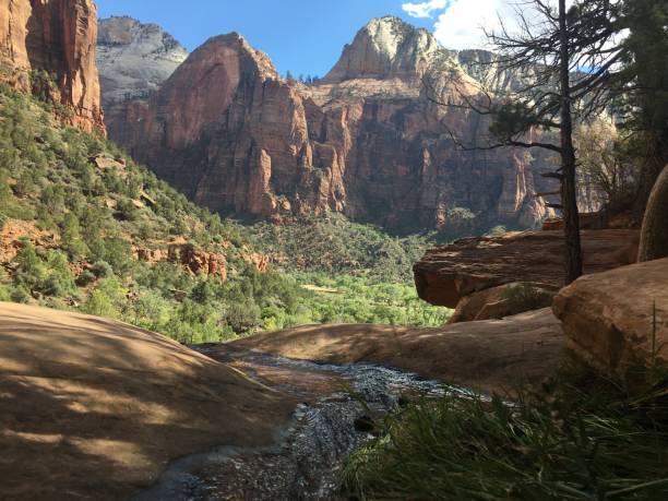 Emerald Pools Trail at Zion National Park, Utah in October. Emerald Pools Trail at Zion National Park in Utah in October. virgin river stock pictures, royalty-free photos & images