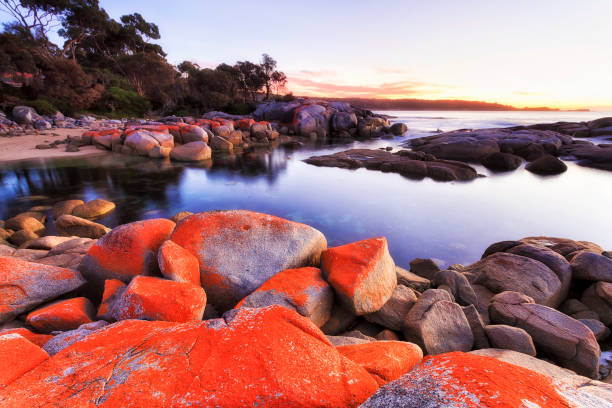 istock Tas Bay Fire Red boulders snail 1346963865