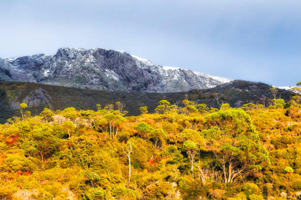 istock Tas Cradle Mt Peak Marions Lookout 1346964594