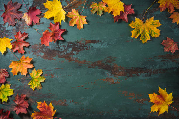 istock Autumn maple tree leaves arrangement leaving copy space on green background 1346965758