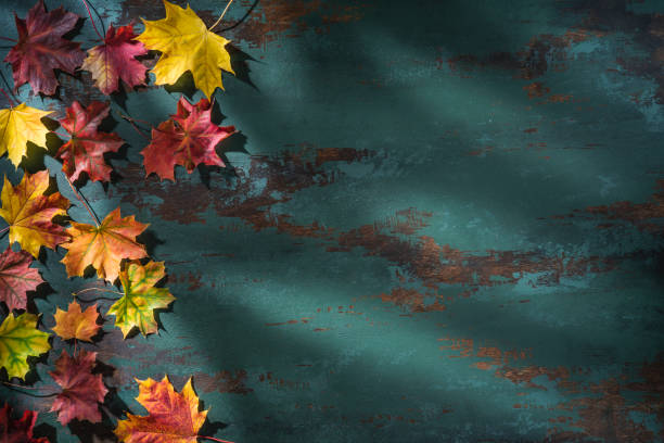 istock Autumn maple tree leaves arrangement leaving copy space on green background 1346965790