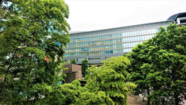 istock Japan. August.  Shinagawa Forest Park. Impression. 1346977351