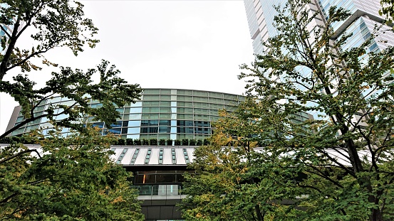 Japan. August.  Shinagawa Forest Park. Impression.