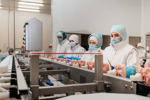 現代の食品工場での肉の包装と切断を伴う自動化生産ライン。食肉加工装置。 - food processing plant poultry chicken raw ストックフォトと画像