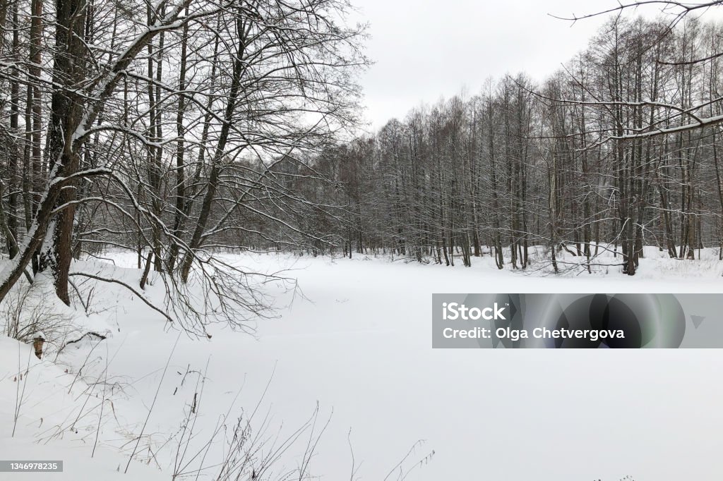 Winter landscape - frosen forest lake covered with thick snowdrift Cold Temperature Stock Photo