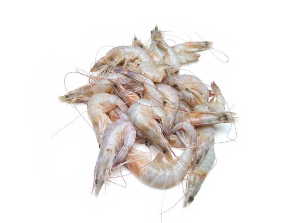 Raw Indian white prawn isolated on white background, fresh seafood