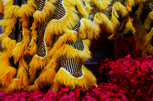 A close up of Lion Dance leg with yellow stripe and shining golden bead