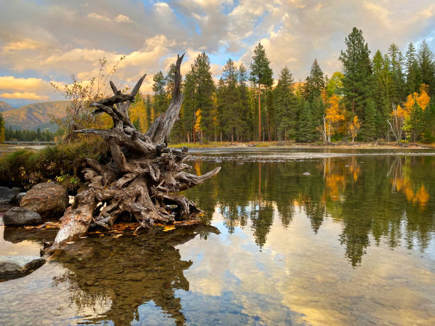 istock Swan River Near Big Fork, Montana 1346997308