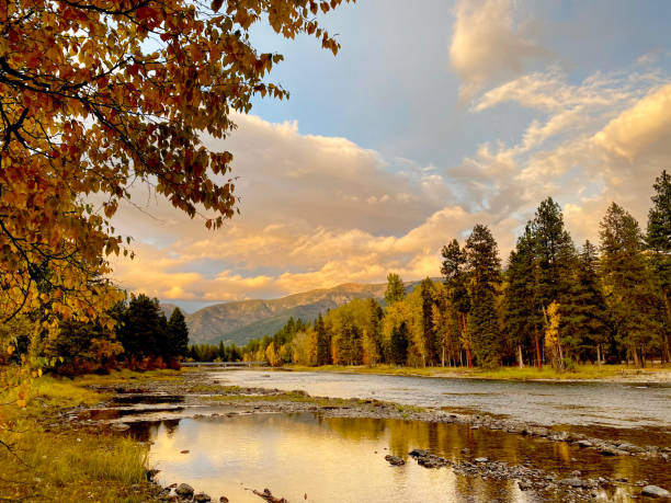 swan river near big fork, montana - montana water landscape nature imagens e fotografias de stock