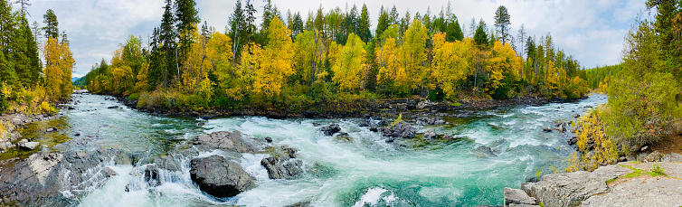 A panoramic view of the Wild Mile along Big Fork, Montana's Swan River.  Birch trees that line the river succumb to autumn as they turn yellow. The river eventually feeds into Flathead Lake