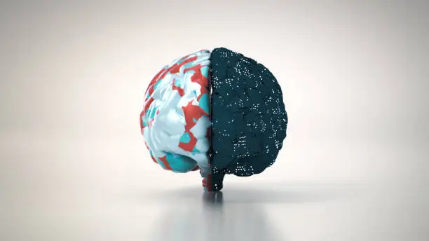 Photo of Brain hemispheres concept . Half creative and half logical . This is a 3d render illustration .
