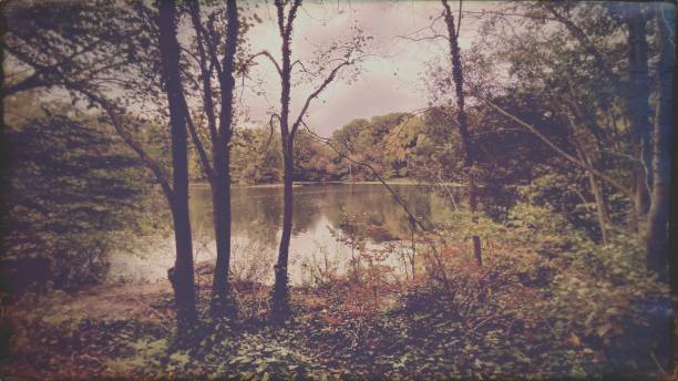 istock Vintage Style Park Scene with Pond 1347002384