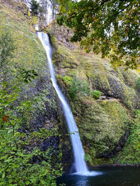 istock Horsetail Falls in autumn 1347011481