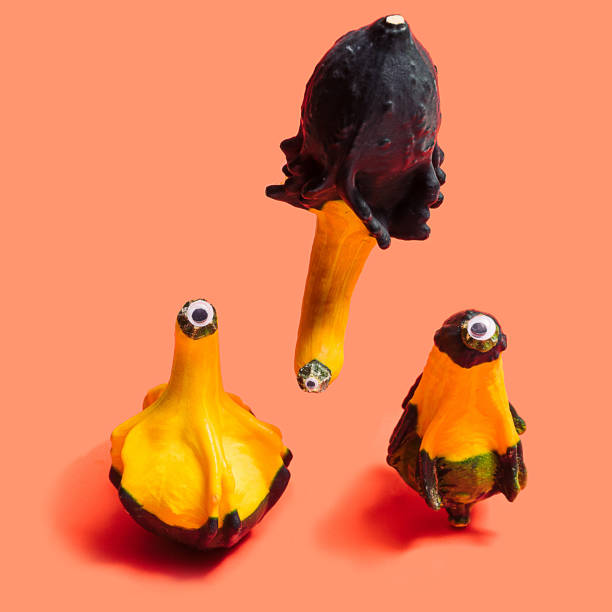 istock Three fresh decorative gourd against terracotta background. 1347011497