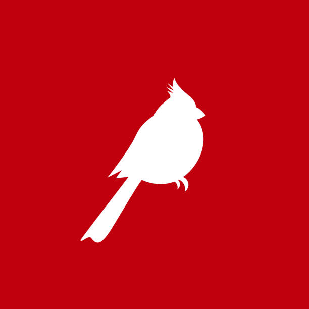 北枢機卿、赤い枢機卿の鳥。レッドバードクリスマスシンボル。 - cardinal点のイラスト素材／クリップアート素材／マンガ素材／アイコン素材
