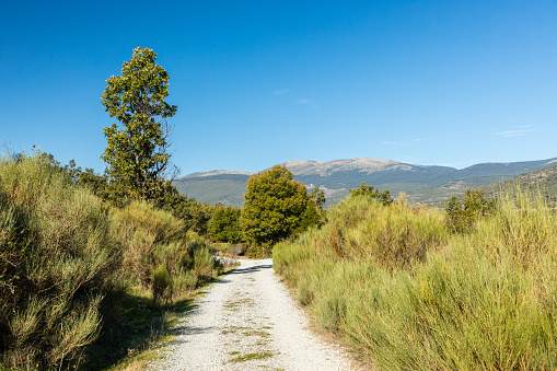 Lozoya Valley, in the Sierra de Guadarrama of Madrid, with autumn colors, Spain