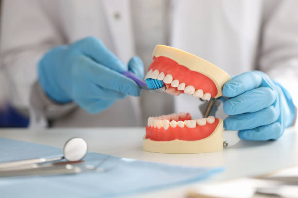 istock Dentist shows on artificial jaw how to properly brush your teeth with toothbrush 1347020216
