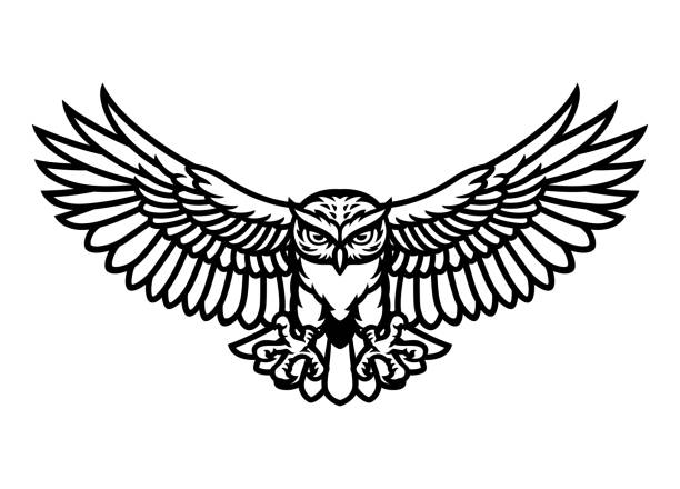 ilustraciones, imágenes clip art, dibujos animados e iconos de stock de mascota del búho logotipo de la mascota en blanco y negro - owl
