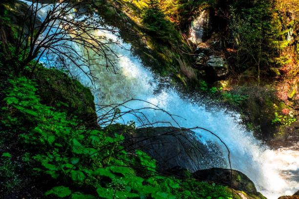 istock Waterfalls in Triberg in the Black Forest, Germany 1347025411