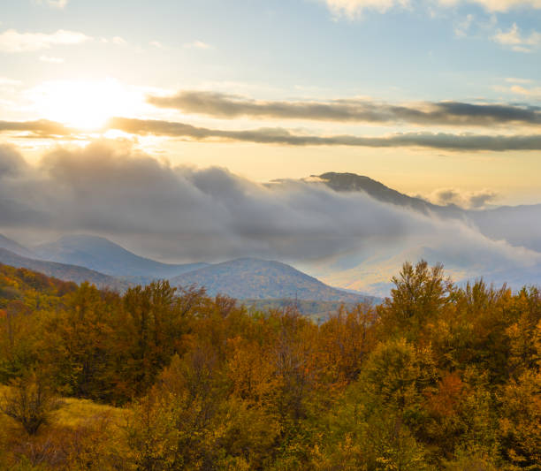 istock mountain valley with red autumn forest at the sunset 1347026545