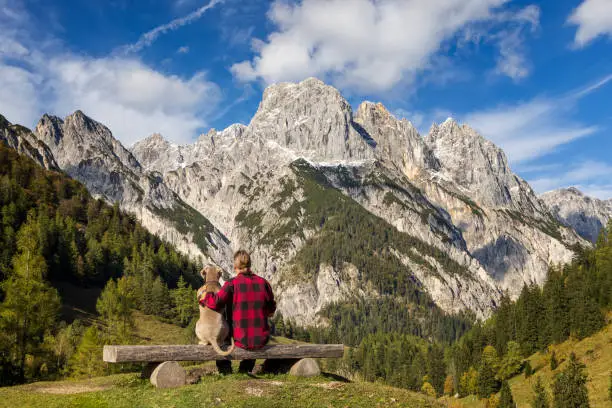 Photo of Best friends - man with his dog are looking to impressive landscape in alps