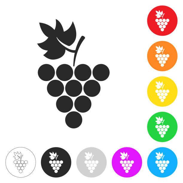 weintraube. flache symbole auf schaltflächen in verschiedenen farben - grape leaf stock-grafiken, -clipart, -cartoons und -symbole