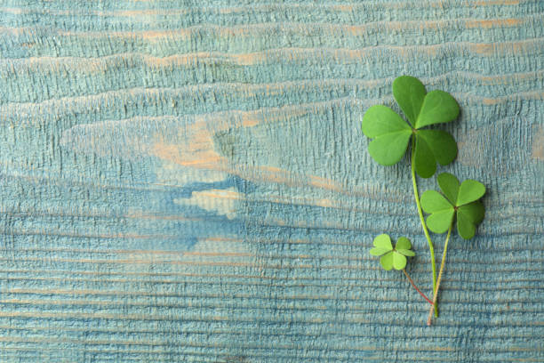 istock Clover leaves on blue wooden table, flat lay with space for text. St. Patrick's Day symbol 1347030152