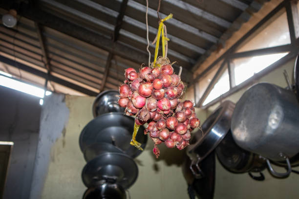 istock The home garlic in the kitchen. The small red onion. 1347033860