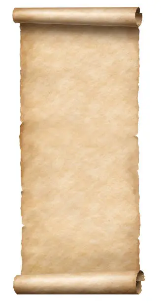 Worn long parchment scroll isolated