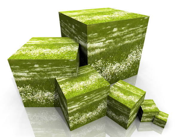 istock cube of daisies and grass 1347038784